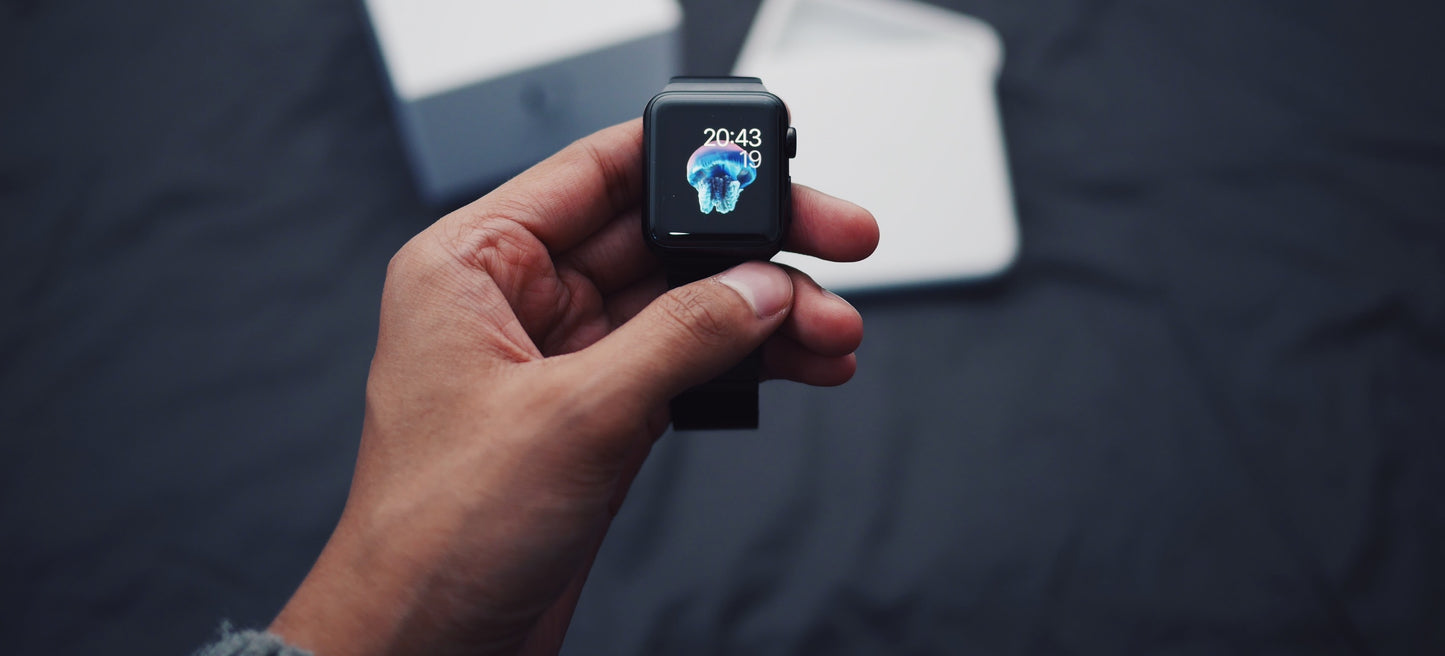 All media references 2048