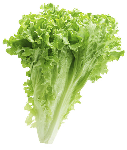 Lettuce 2